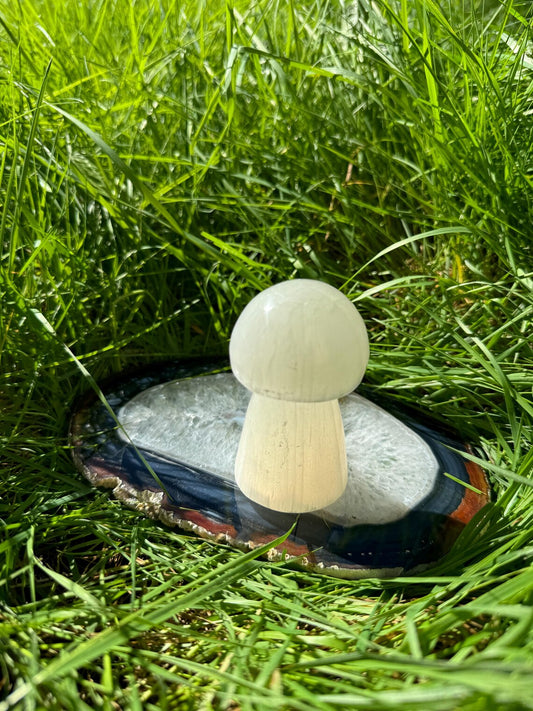 Crystal - Selenite mushroom